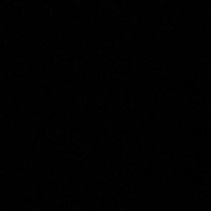 Meet your Posher, Bailey